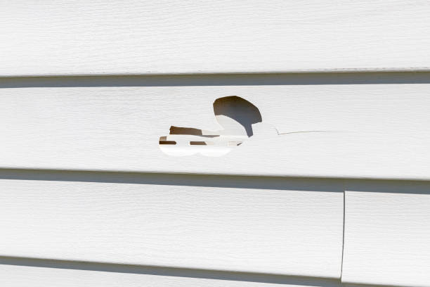 ### Storm Damage Siding Repair in Port Royal, SC